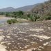 Juez federal concede amparo a persona indígena mixteca: ordena rescate del río Mixteco