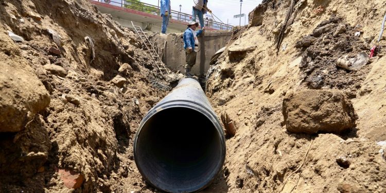 ¡Todo listo para arrancar la Jornada Estatal de Reforestación 2024 en San Lucas Quiaviní!