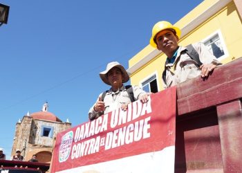 Registra SSO 255 casos nuevos de dengue