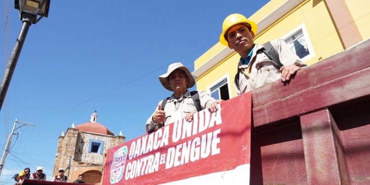 Registra SSO 255 casos nuevos de dengue