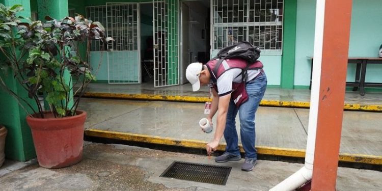 Ante el regreso a clases, indispensable reforzar medidas preventivas contra el dengue: SSO