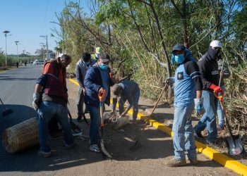 Vecinas y vecinos de Cinco Señores transforman su entorno a través del tequio