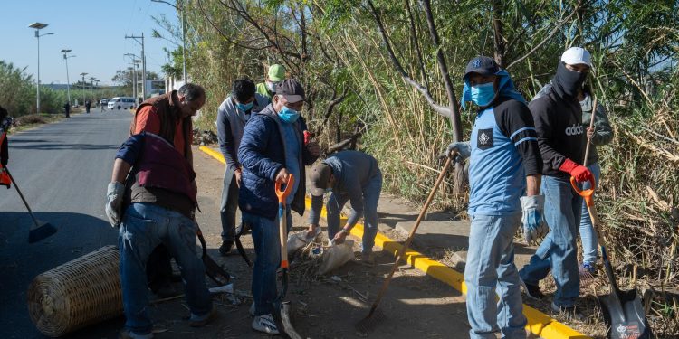 Vecinas y vecinos de Cinco Señores transforman su entorno a través del tequio